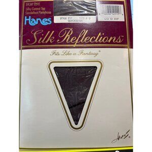 Hanes Silky Reflections Silky Control Top Pantyhose Quicksilver Size AB Vintage